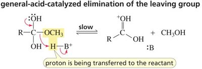 General-acid catalyst can be a weaker acid