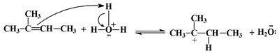 Stepwise mechanism for hydration of an alkene