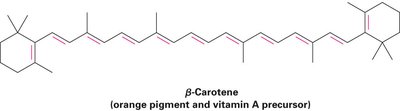 Structure of β-carotene