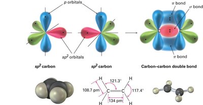 sp2 hybridization and bonding in alkenes
