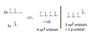 sp2 hybridization orbital diagram