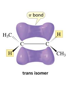 trans isomer diagram