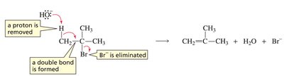 E2 mechanism: proton removal and double bond formation