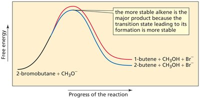 Transition state stability in E2 reactions