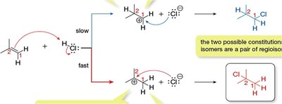 Regioselectivity in hydrohalogenation