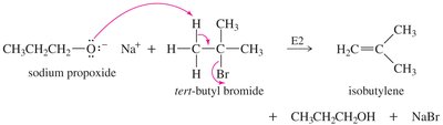 E2 elimination mechanism