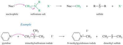 Sulfonium salts as alkylating agents