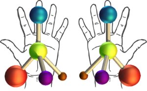 chiral hands and molecules