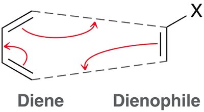 Diene and dienophile mechanism