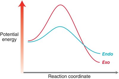 Symmetrical diene regioselectivity