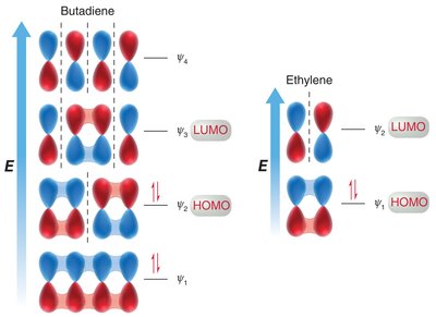 MO interaction in Diels-Alder