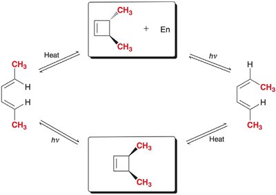 Thermal cyclization stereochemistry