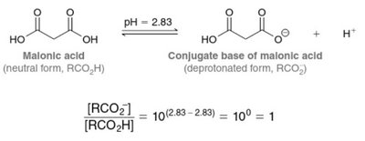 Malonic acid at pH 2.83 equilibrium