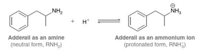 Adderall as amine and ammonium ion