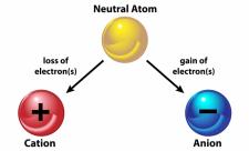 Cation and anion formation diagram