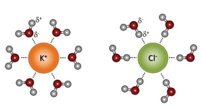 Hydration of KCl by Water Molecules