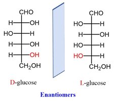 D-(+)-glyceraldehyde and L-(−)-glyceraldehyde
