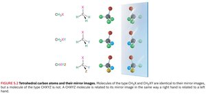 Tetrahedral carbon atoms and their mirror images