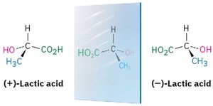 Stereoisomers: different spatial arrangements