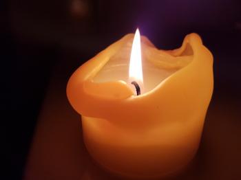 Paraffin wax (low molar mass)