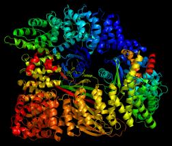 Biopolymer structure (monodisperse)