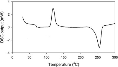 DSC analysis of PET
