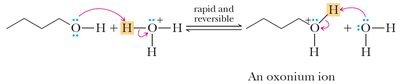Protonation of primary alcohol in SN2 reaction