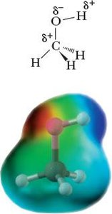 Dipole-dipole interaction in alcohols