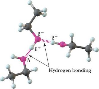 Hydrogen bonding between ethanol molecules