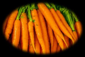 Carrots, source of β-carotene