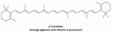 β-Carotene structure and function