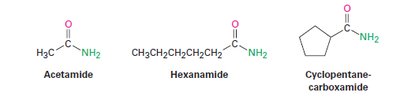Examples of amides: acetamide, hexanamide, cyclopentanecarboxamide