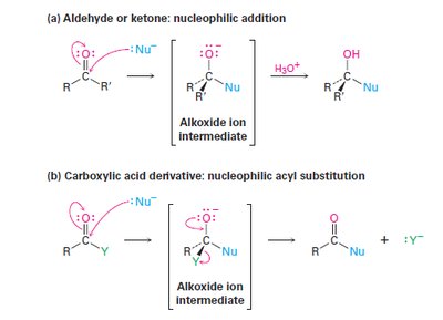 Mechanism comparison: nucleophilic addition to aldehyde/ketone vs. nucleophilic acyl substitution in acid derivatives