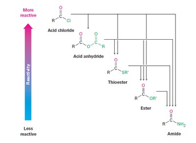 Reactivity hierarchy of acid derivatives
