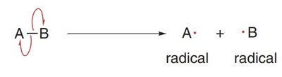 Homolytic bond cleavage forming two radicals