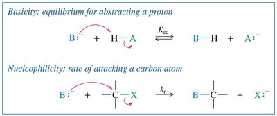 Basicity vs nucleophilicity