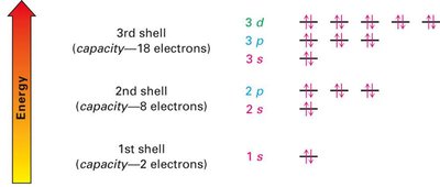 Electron shell capacities and energy levels