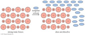 Polar solute in nonpolar solvent