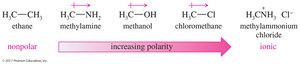 Examples of molecules with increasing polarity