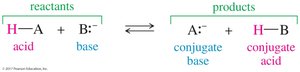 Acid-base equilibrium positions