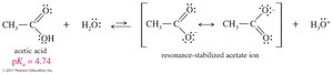 Resonance-stabilized acetate ion