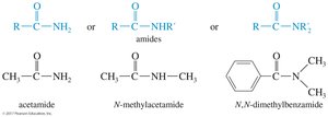 Amide structures