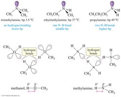 Hydrogen bonding in organic molecules