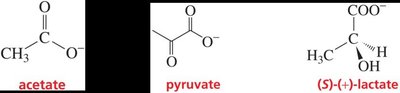 Examples of carboxylate ions