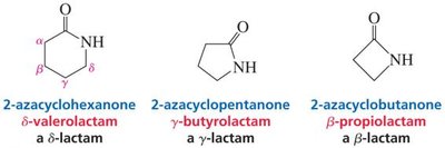 Examples of lactam nomenclature