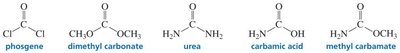 Examples of carbonic acid derivatives