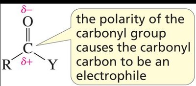 Polarity of the carbonyl group