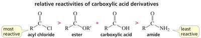 Relative reactivities of carboxylic acid derivatives