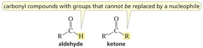 Carbonyl compounds with non-substitutable groups