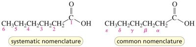 Systematic and common nomenclature for carboxylic acids